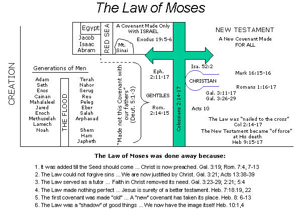 The Mosaic Period | Timberland Drive